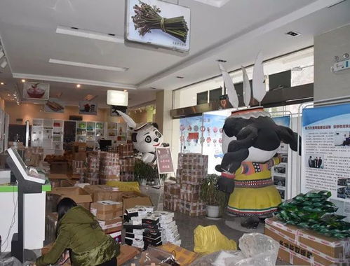 整合規(guī)范物流快遞，打造電商生態(tài)體系下的普通貨物倉(cāng)儲(chǔ)服務(wù)新格局